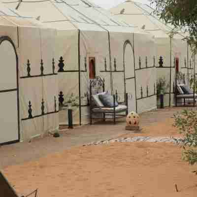 Luxury  Saf Saf Camp Others