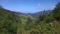 Beautiful views of the green nature from the inside Asturiana
