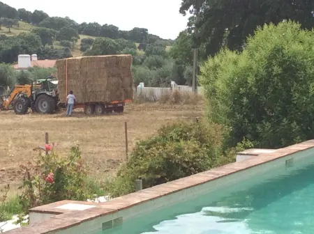 "Casa da Malta" - Country Cottage - Neighbourhood of Évora (30 km) Отели рядом с достопримечательностью «Замок Монтемор-у-Нову»