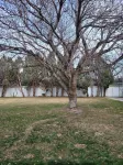 Walking distance to Cheyenne frontier days. Hotels near Albertsons