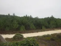 Between Nazareth and S. Pedro de Moel Hotels in Pataias