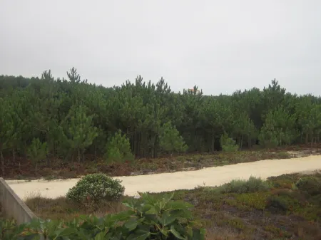 Between Nazareth and S. Pedro de Moel