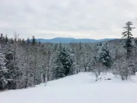 Charming Barn Carriage House in Green Mountains of Vermont Near Middlebury