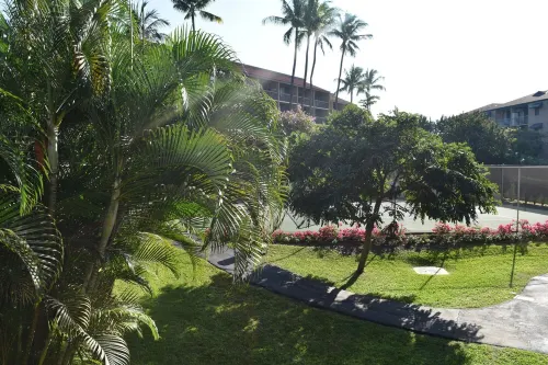 Remodeled ONE BEDROOM in the Maui Vista. Beach across the street!