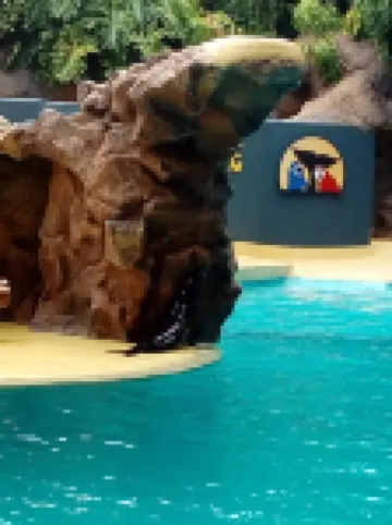 Tenerife north beach San Marcos<br> Hotels in Icod de los Vinos