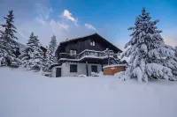 Traditional Alpine chalet with 3-4 bedrooms, well suited for 3-4 couples