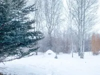 Free Shuttle to Grand Targhee! Stay at the Powder Valley Condo, welcome basket!