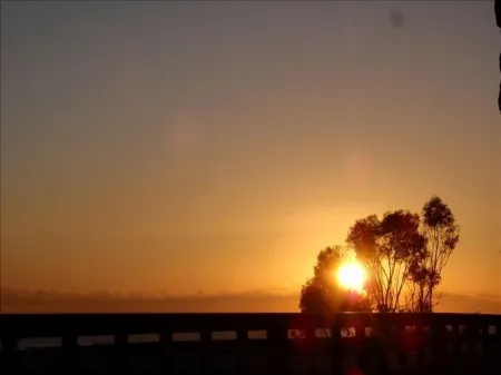 Surf Shack - Panoramic Ocean View!  Book your Holiday steps to sand & downtown! Отели рядом с достопримечательностью «Сан Онофр Стейт Бич»