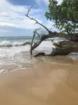 Private Oceanfront 4 Bedroom Villa -Pool & on Beach