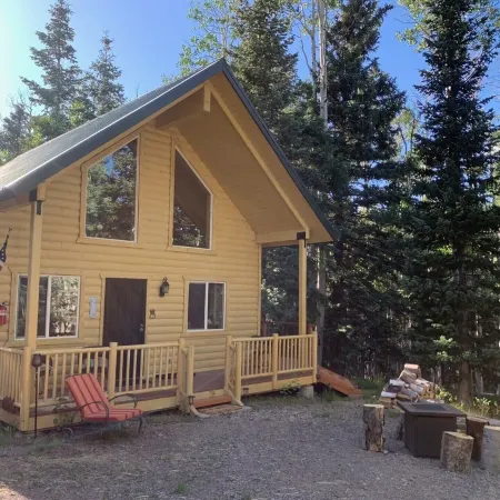 Cabin in the Pines surrounded by fun