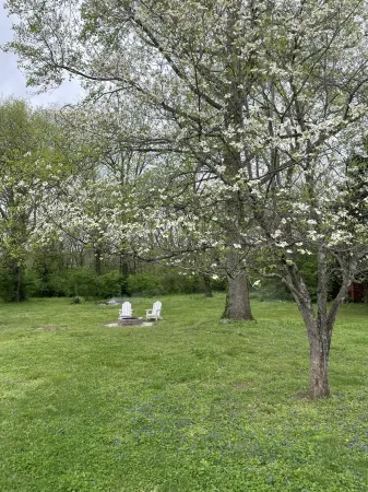 Creekside Getaway - Close to DT & Lake