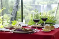Hotel Salto Del Laja - 3-Star