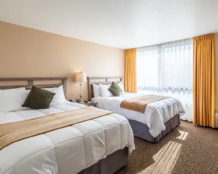 โรงแรมนิวการ์เดนา โรงแรมในกาดินา