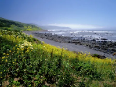 Redwood Suites Hoteles en Ferndale