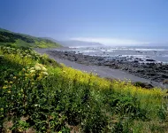 Redwood Suites Hotels in Ferndale