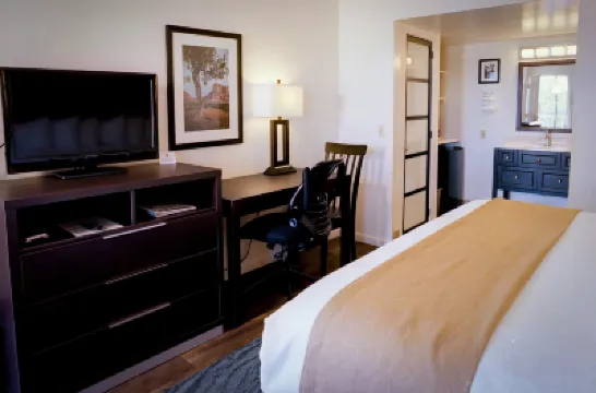 パインズ イン & スイーツ 928 Grow周辺のホテル