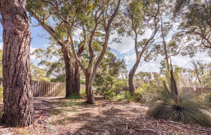 Bush Hideaway by the Beach