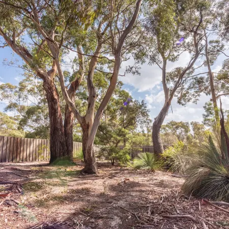 Bush Hideaway by the Beach