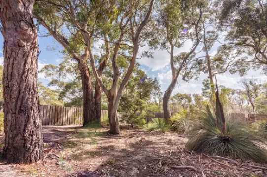 Bush Hideaway by the Beach
