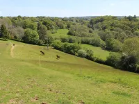 Hilly Field Barn - Wifi