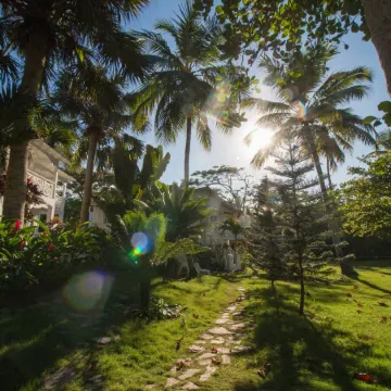 Mosquito Boutique Hotel