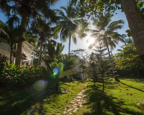 Mosquito Boutique Hotel Hotels in Las Terrenas