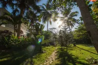 Mosquito Boutique Hotel - 3-Star