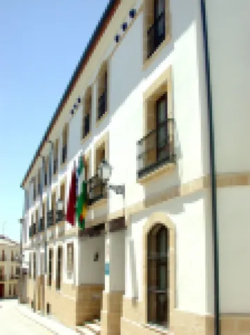 Hotel Rosaleda Don Pedro