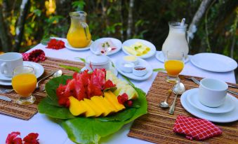 Aldeia da Mata Ecolodge