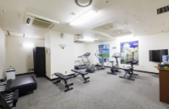 ANA Holiday Inn 札幌薄野全日空假日酒店