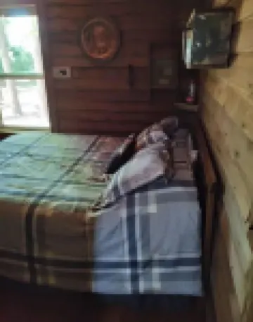 Awesome private off grid cabin with creek view.