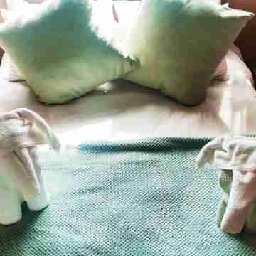 Mali Mali Safari Lodge Rooms