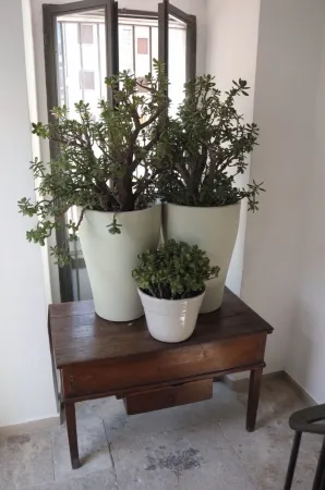 Calefati Gallery Luxury Apartment