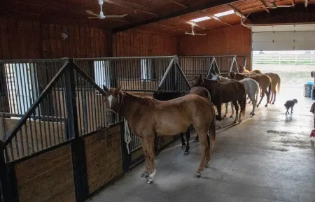Entire Farmhouse Decatur —-5 minutes from the city