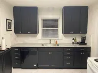 Tyler's Texas Rose, a beautiful 2BR/1BA house with back yard