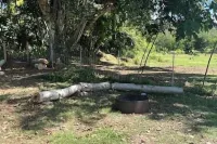 Hawaii Camping Close to Hukilau Beach, Laie #1 Hotels in Laie