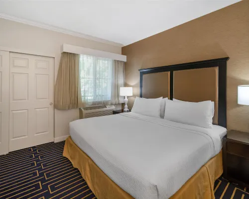 Best Western Plus Palm Court Hotel Kamar Photos