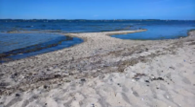 120 meters to the beach. 80 meters to the forest.