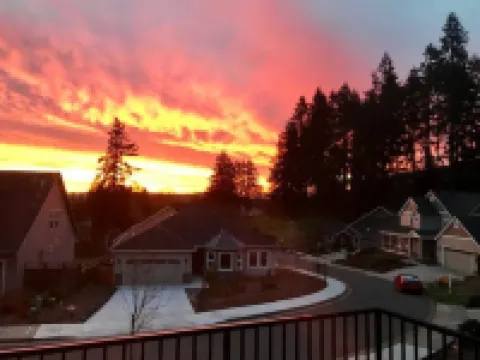 Built in 2021: Custom Designed Modern Luxury