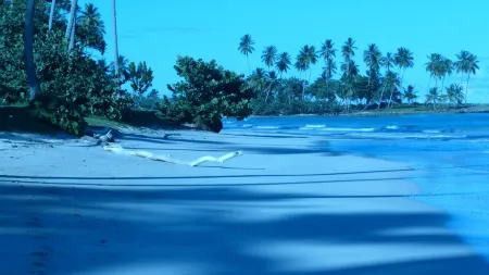 Escape to Luxury and Wellness: Vacation Home 1 km from the Sea