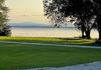 Charming Lakeside 2-bedroom cottage in lovely Alburgh, VT 알버그 호텔