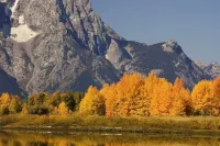 Wonderful Condo in Scenic Downtown Jackson Hole!