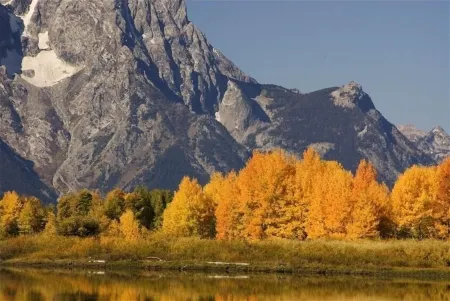 Wonderful Condo in Scenic Downtown Jackson Hole! Отели в г. Джексон