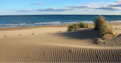 Ideal stay, with beaches, ponds and tramway just around the corner! Apt 2 Hotels in Perols