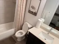 Charming 1-bedroom apartment in Leander, featuring AC, WiFi Hotels in Leander