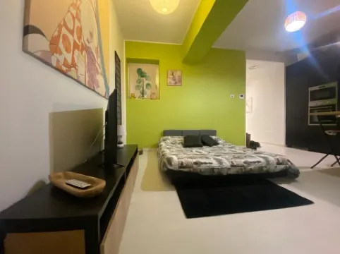 ZEN HOUSE+GARDEN+GARAGE+LECCO'S CENTER-COMO'S LAKE-NEAR STATION&LAKE, FAMILY+DOG