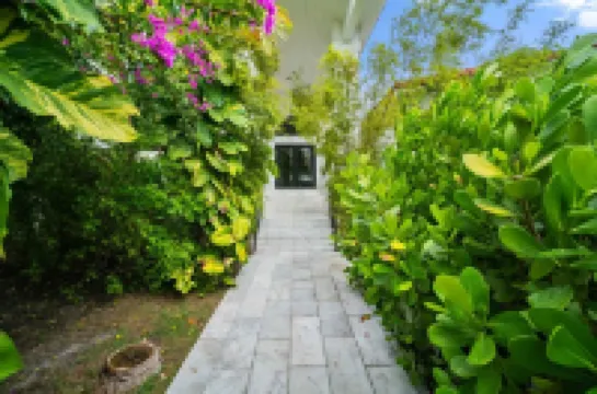 Miami Kiki Mansion, Private Pool, Jacuzzi, Billiards, Home Cinema & Gym