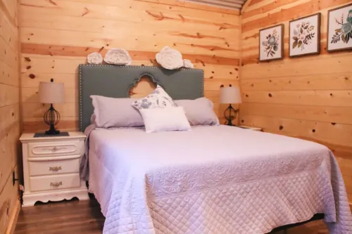 Over 100 acre longhorn ranch to enjoy hiking, star gazing, and wildlife viewing.