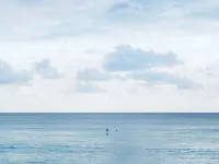 Beachfront Penthouse Broadbeach Waters.