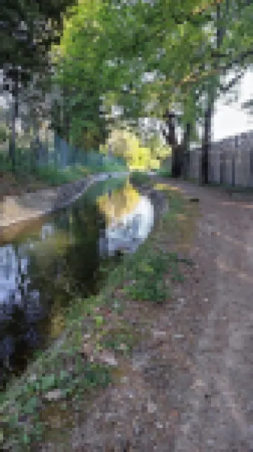 Joli Haut de Villa Avec Grand Jardin, Entre mer et Montagne Animaux Acceptés Hotels in Peymeinade